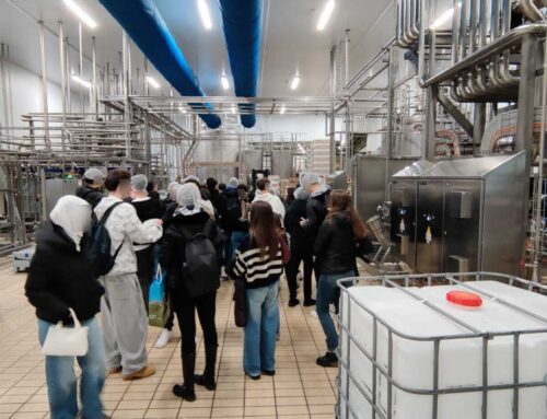 L’Agroalimentare artigianale e industriale